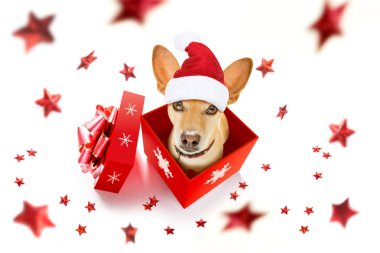 Noel Noel Baba köpek 