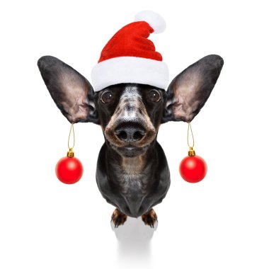 Noel Baba 'nın Noel Baba köpeği ve Noel baloları ya da takıları asılı.