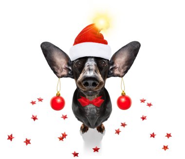 Noel Baba 'nın Noel Baba köpeği ve Noel baloları ya da takıları asılı.