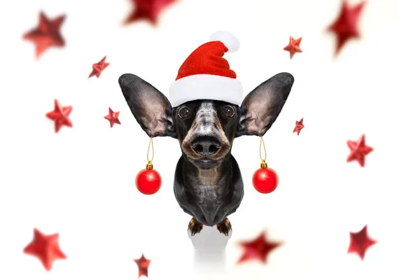 Kerstmis kerstman claus hond en kerstballen of kerstballen opknoping van — Stockfoto