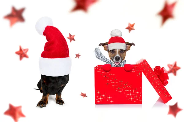 Natale Babbo Natale cane — Foto Stock