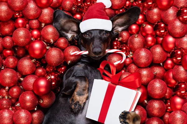 Natale Babbo Natale cane e palle di Natale o palline come backgroun — Foto Stock