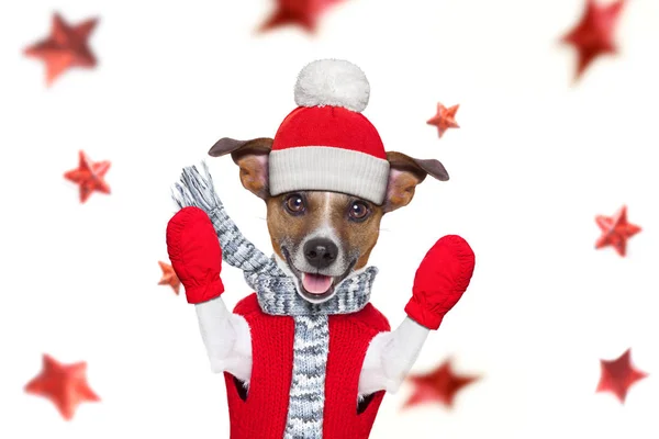Noel Noel Baba köpek — Stok fotoğraf