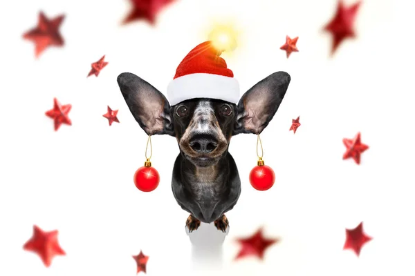 Jul Santa Claus hund och xmas bollar eller grannlåt hängande från — Stockfoto