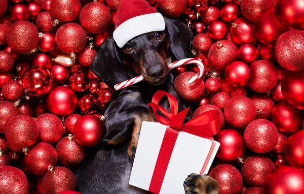 Kerstmis kerstman claus hond en kerstballen of kerstballen als backgroun — Stockfoto