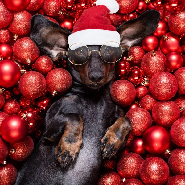 Kerstmis kerstman claus hond en kerstballen of kerstballen als backgroun — Stockfoto