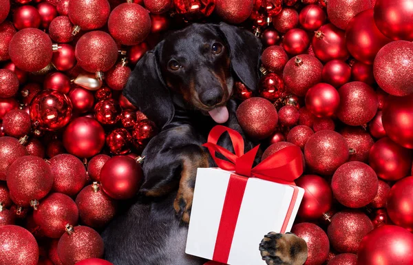 Рождественский Санта-Клаус собака и рождественские шары или безделушки, как backgroun — стоковое фото