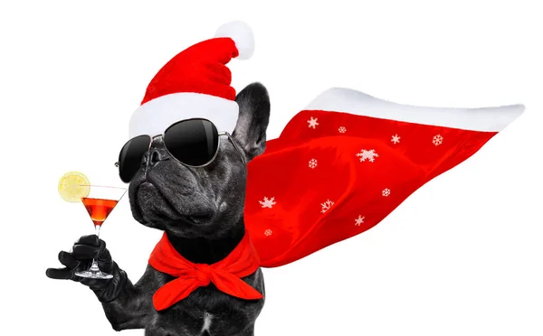 Christmas santa claus hond — Stockfoto