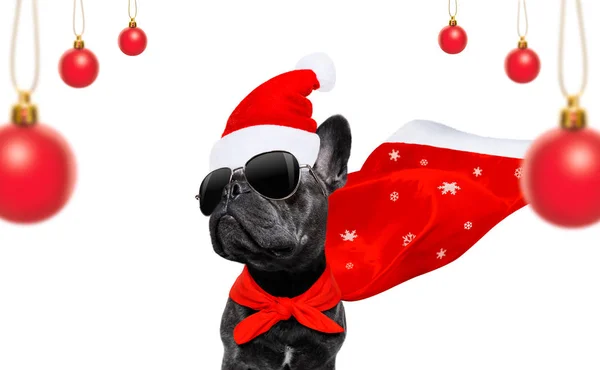 Χριστούγεννα santa claus σκυλί — Φωτογραφία Αρχείου