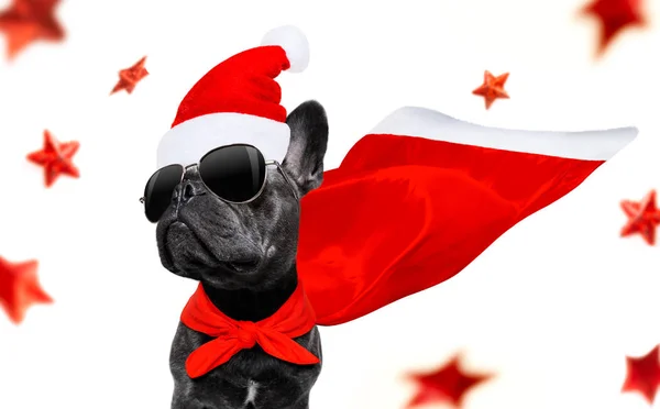 Christmas santa claus hond — Stockfoto