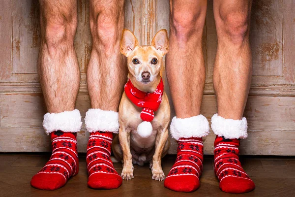 Christmas santa claus dog with owners — Stock Photo, Image
