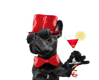 mutlu yeni yıl köpek celberation