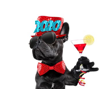 mutlu yeni yıl köpek celberation