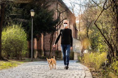 Sahibi yüz maskesi takıp tasma takan bir chihuahua köpeği dışarıda parkta birlikte yürüyor.