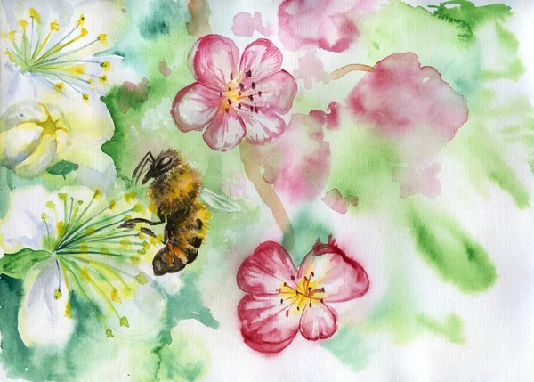 Dibujo en acuarela de flores de primavera y abeja — Foto de Stock