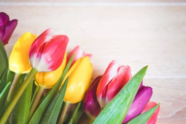 Dünya Kadınlar Günü için izole çiçekler ile arka plan