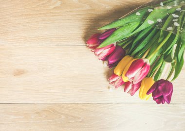 Dünya Kadınlar Günü için izole çiçekler ile arka plan