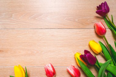 Dünya Kadınlar Günü için izole çiçekler ile arka plan