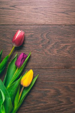 Dünya Kadınlar Günü için izole çiçekler ile arka plan