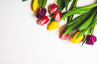 Dünya Kadınlar Günü için izole çiçekler ile arka plan