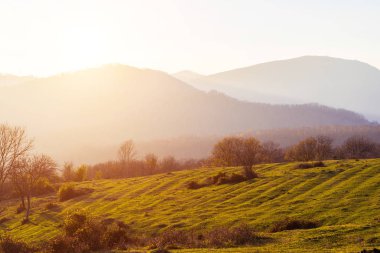 Güneşli bir günde dağ manzarası