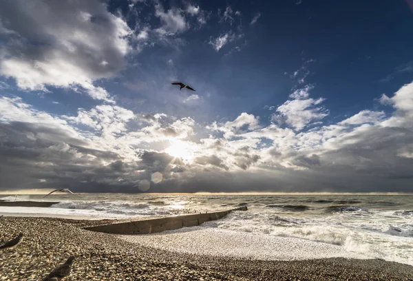 La gaviota está volando al atardecer sobre el paisaje marino, olas, tormenta, infinito —  Fotos de Stock