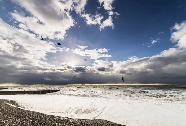 Beach stormy sea at sunset and flying seagulls — Stock Photo, Image