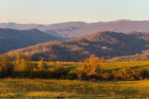 Vida selvagem, grama verde, montanhas, bela vista, céu azul — Fotografia de Stock