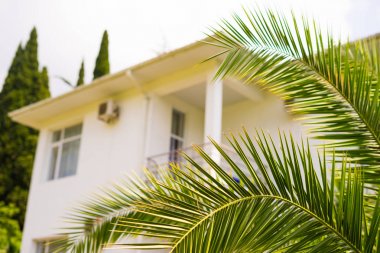 Palmiye ağaçları ve beyaz lüks villa, güneşli vintage ile tropikal tatil yaz