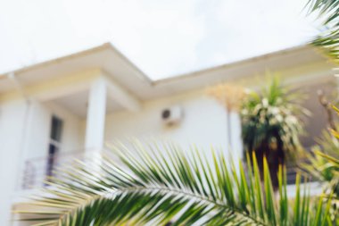 Yaz tatillerini beyaz bulanık villa arka plan ile palmiye ağaçları, vintage yaz