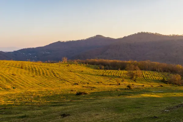 Grande campo vazio com colinas de outono no fundo — Fotografia de Stock