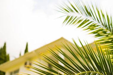 Palmiye ağaçları ve beyaz lüks villa, güneşli vintage ile tropikal tatil yaz