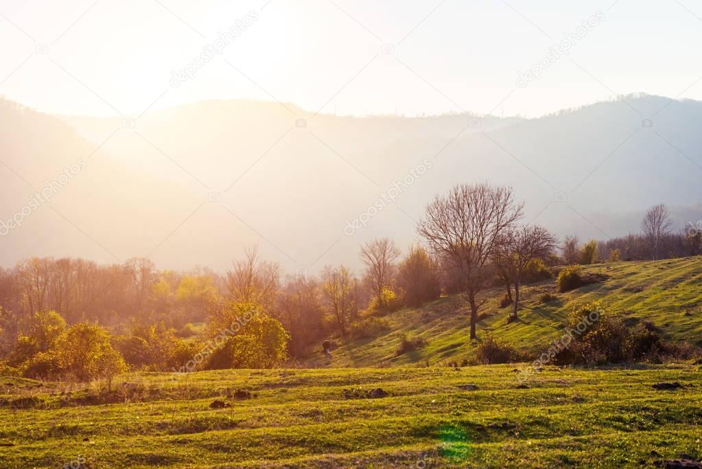 Hills with autumn trees on sunset background
