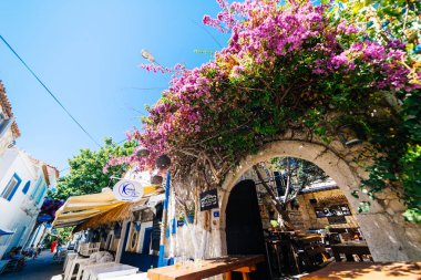 Streets of europe,Turkey.Alacati and Cesme,pink flowers clipart