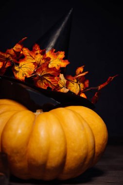 Kabak şapka ile bir halloween tema olarak dekore edilmiş.