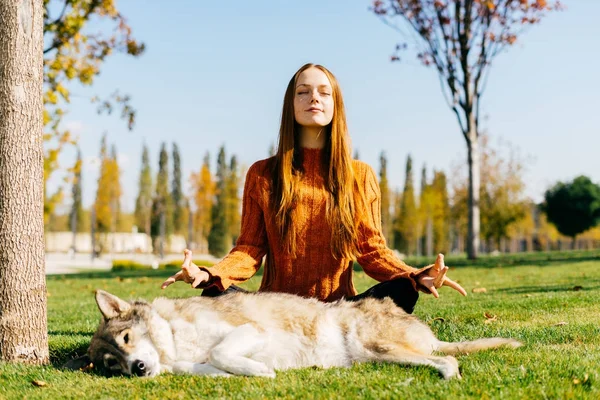 A girl meditating in an autumn park with her dog — Stock Photo, Image