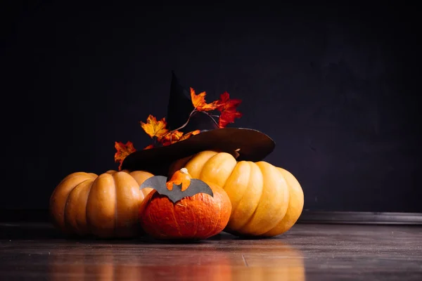 Halloween gratulationskort bakgrund. Halloween illustration med Halloween pumpa, bat. Halloween vektorillustration — Stockfoto