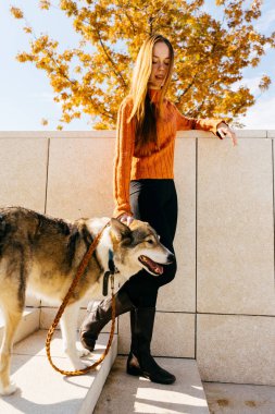 turuncu bir kazak saint kız köpeğini ile belgili tanımlık merdiven aşağı gider. Bir yürüyüşte, bir ağaç sarı yapraklar, sonbahar bir güneşli gün ile bir kız