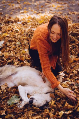 güzel kızıl saçlı kız opalent turuncu yapraklarda oturur ve onu köpek ve gülüyor, altın sonbahar ile çalış