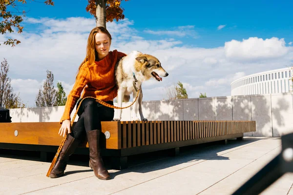 Flicka i en orange tröja, i en park på en bänk med en hund. vacker utsikt, blå himmel — Stockfoto