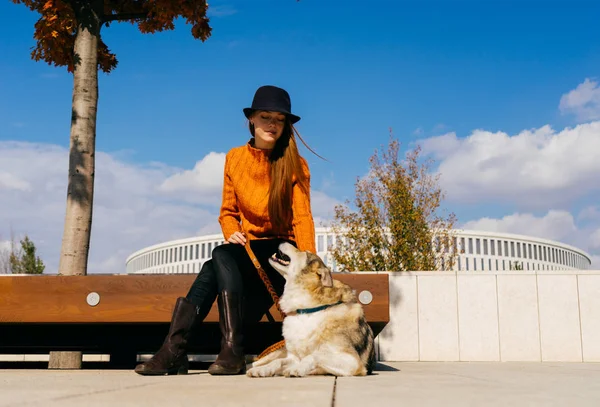 Ragazza in un maglione arancione, cappello nero e stivali in un parco su una panchina con un cane. bella vista, blu, vestiti caldi, autunno dorato — Foto Stock