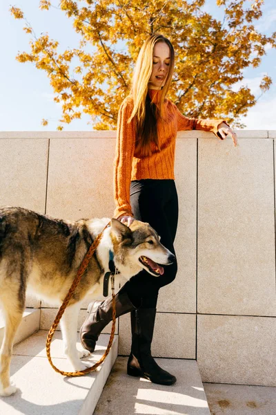 turuncu bir kazak saint kız köpeğini ile belgili tanımlık merdiven aşağı gider. Bir yürüyüşte, bir ağaç sarı yapraklar, sonbahar bir güneşli gün ile bir kız