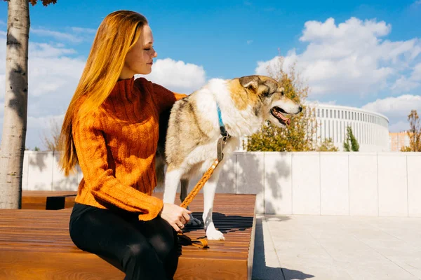 bir köpek, güneşli hava, güzel park ile dolaşmak güzel kızıl saçlı kız gitti