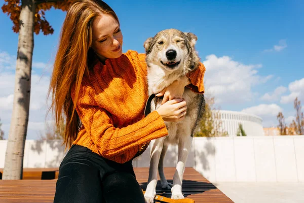 büyük köpeği ile bir bankta bir parkta otururken çok güzel kızıl saçlı kız. Güzel manzara, güneşli havalarda