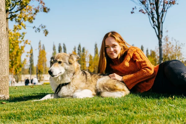 turuncu bir kazak, bir kız parkta düşen yapraklar üzerinde köpeğiyle döşeme ve kameraya bakıyor. altın yaprağı, altın sonbahar