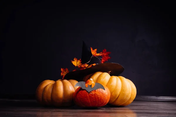 Halloween vakantie kunst design, viering. Halloween pompoenen met een heks hoed en oranje herfst bladeren en de vleermuis — Stockfoto