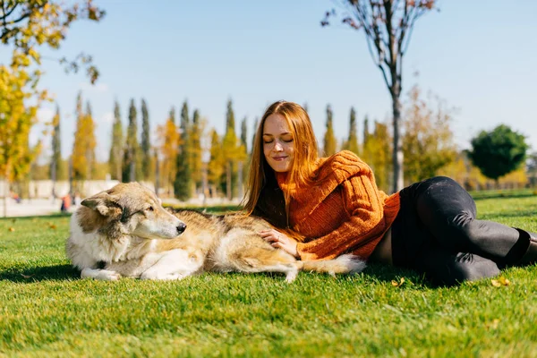 turuncu bir kazak kız güzel bir parkta yeşil çim üzerinde bir köpek ile yatıyor ve sıcak bir sonbahar güneşli gün sahiptir
