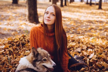 turuncu bir kazak kız güzel sonbahar yaprakları bir parkta köpeğiyle oturuyor ve kameraya doğru görünüyor. Sonbahar sıcak güneşli gün.