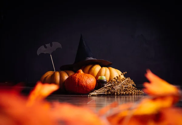 Halloween pumpa på svart bakgrund. Halloween semester konstdesign, firande. Halloweenpumpor med hatt, fladdermöss, torrt gräs — Stockfoto