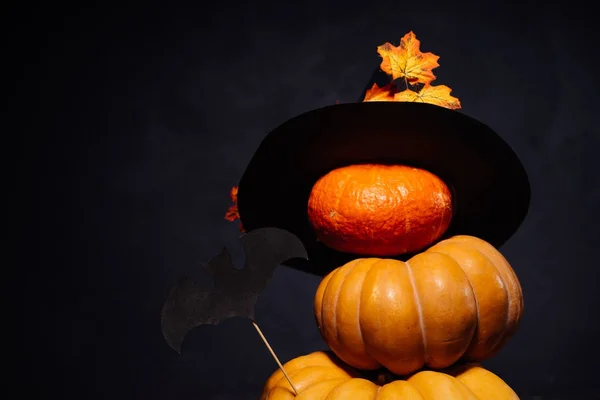 Halloween pumpa på en svart bakgrund. Halloween semester konstdesign, firande. Halloweenpumpor med en häxa hatt och en fladdermus. — Stockfoto